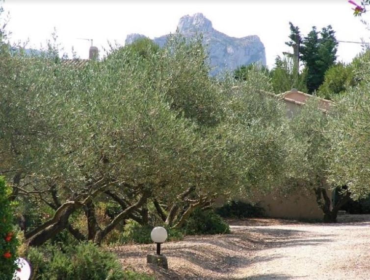 Un Gite En Provence - Les Jardins De Fontanille Saint-Rémy-de-Provence Dış mekan fotoğraf