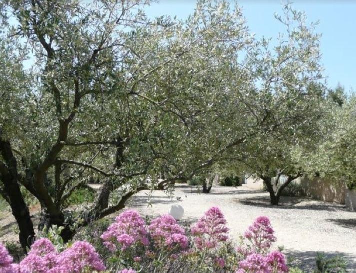 Un Gite En Provence - Les Jardins De Fontanille Saint-Rémy-de-Provence Dış mekan fotoğraf